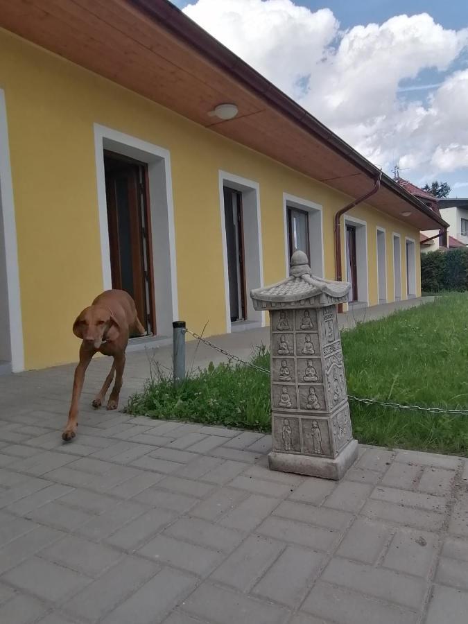 Penzion Loren Františkovy Lázně Eksteriør bilde
